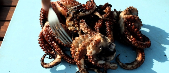 Mambrui Beach – Octopus