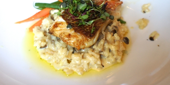Grilled Fillet of Snapper, Fennel Risotto & Passion Fruit & Chardonnay Beurre Blanc